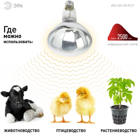 Инфракрасная лампа ЗРА ИКЗ 220-250 R127 Е27 / E27 для обогрева животных и освещения 250 Вт ЭРА