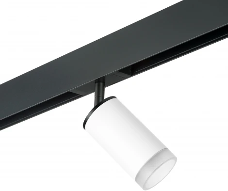 Трековый светильник однофазный 220V Lightstar Rullo PRO43630 (круглые)