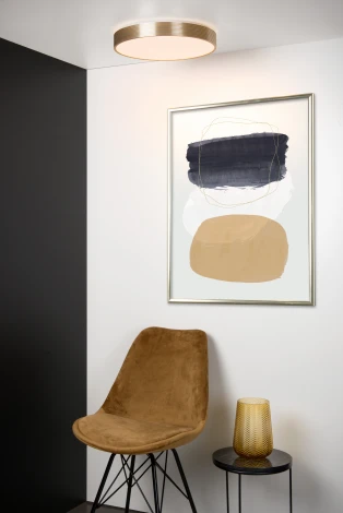 Потолочный светильник круглый светодиодный диммируемый Malin 79184/24/02 (220V, круглые)