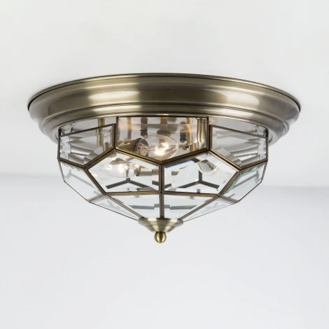 Потолочный светильник круглый Citilux Витра-1 CL442530 (220V)