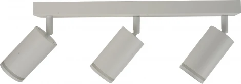 Потолочный светильник спот Brizzi Aras BR08091