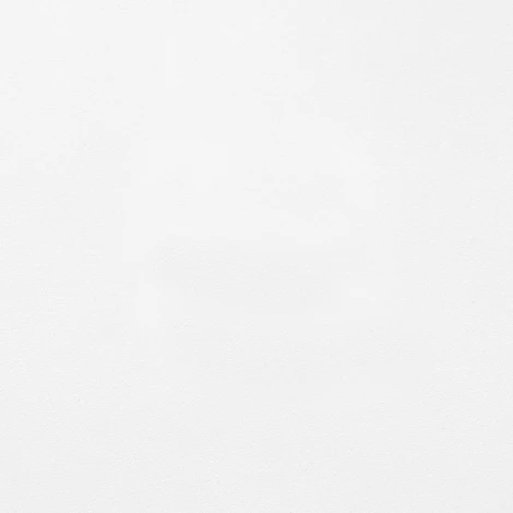 Комплект из 2-х стульев Bradex Home Masters белый (FR 0215P)