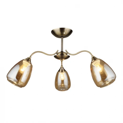 Потолочная люстра Wedo Light Савона 66233.01.05.03