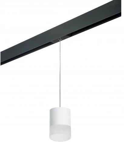 Трековый светильник однофазный 220V Lightstar Rullo PRORP348681 (круглые)