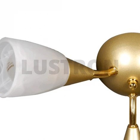 Потолочная люстра MW-Light Грация 358010503