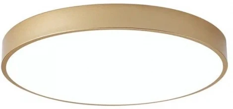 Светильник настенно-потолочный TopDecor Union P2 33 (LED, 220V, круглые)