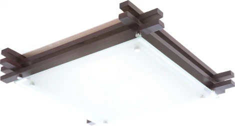 Настенно-потолочный светильник Globo EDISON 48324-2