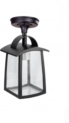 Потолочный светильник уличный Oasis Light FRANKFURT I 2736 05ACl Bl