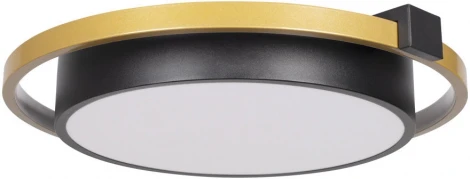 Потолочный светильник круглый Mike 10169 (LED, 220V, круглые)