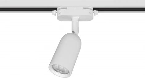 Трековый светильник однофазный 220V Ritter Artline 59869 9