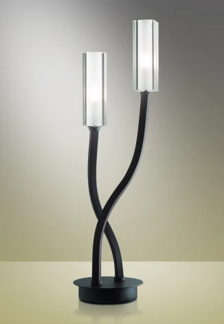 Интерьерная настольная лампа Odeon Light Moden 2010/2T