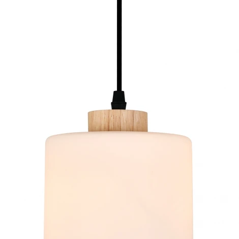 Подвесной светильник Escada Spirit ES0000016 160002/B/1P E27*60W Black