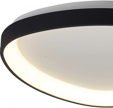 Потолочный светильник Mantra Niseko 8634 (регулировка яркости, LED, 220V, пульт управления)