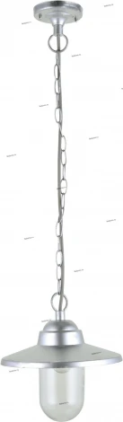 Уличный светильник подвесной Arte Lamp Portico A1551SO-1SS