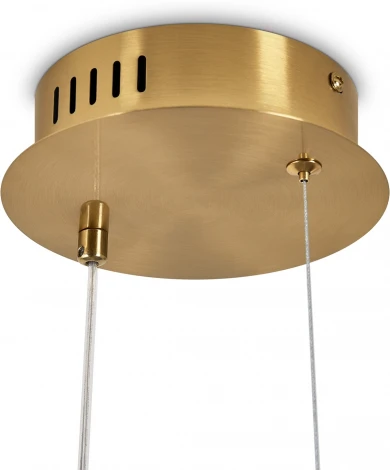 Подвесной светильник Freya Eclat FR6182PL-L14W1 (LED, 220V, на проводе)