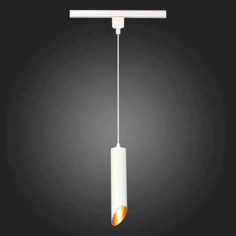 Трековый светильник однофазный ST Luce ST152.506.01 (220V, круглые)