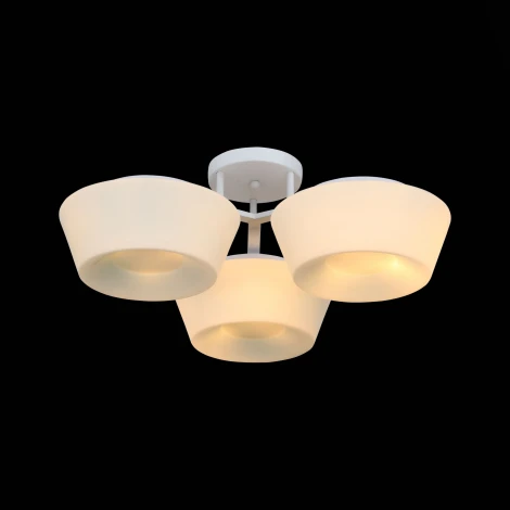 Потолочная люстра ST Luce Adatto SL296.502.03