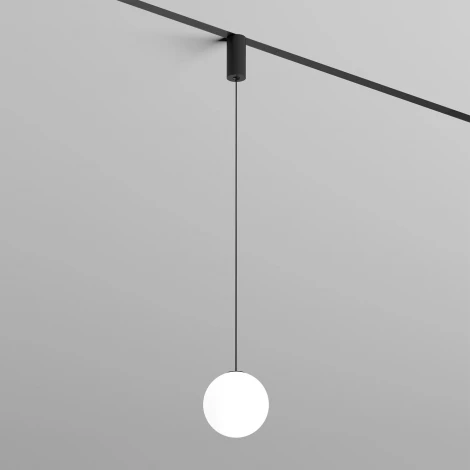 Трековый светильник LED с ПДУ 220V Denkirs Smart Mon DK8052-BK (шар)