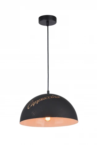 Подвесной светильник Arte Lamp Dome A5063SP-1BN