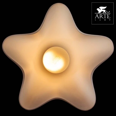 Потолочный светильник Arte Lamp Canzone A3469PL-1CC