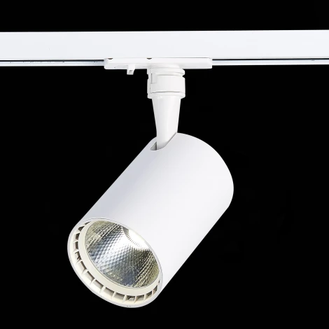 Трековый светильник ST Luce Cami ST351.546.20.36 (LED, 220V, круглые, IP22)