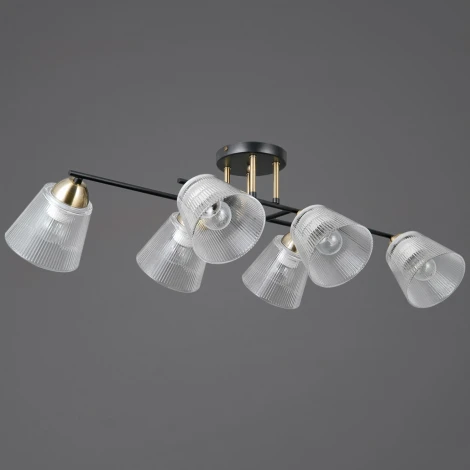 Потолочная люстра на штанге ILLUMICO IL0845-6CSQ-25BKAB ELITE