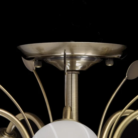 Потолочная люстра MW-Light Флора 256018205