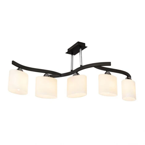 Потолочная люстра Silver Light Astoria 234.59.5