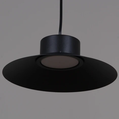 Подвесной светильник Reluce 40110-0.9-03 BK