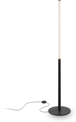 Торшер Maytoni Ray Z012FL-L18B3K (LED, 220V, выключатель, круглые)