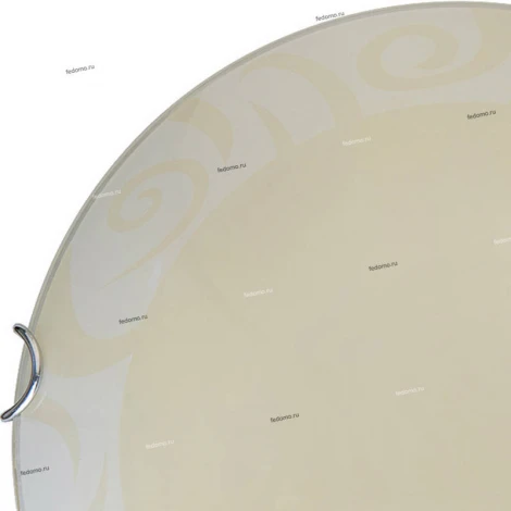 Настенно-потолочный светильник Toplight Ginger TL9620Y-00WH