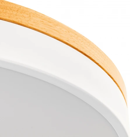 Светильник потолочный светодиодный Ritter Snello 51623 5