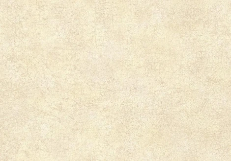 Обои виниловые Sirpi Muralto Pisa 21028 10,05 x 1 м