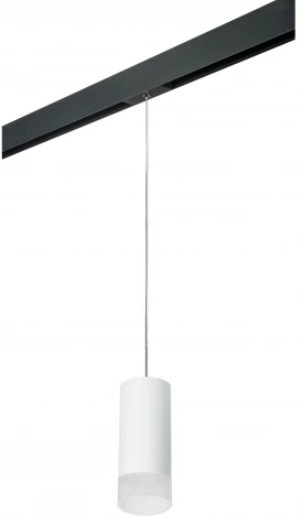 Трековый светильник однофазный 220V Lightstar Rullo PRORP648681 (круглые)