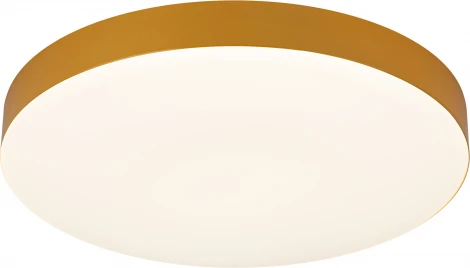 Потолочный светильник светодиодный ЭРА Relict 38 SPB-6-40 4К MG