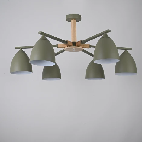 Потолочная люстра на штанге NOA 6 Olive ImperiumLoft Noa01 (183463-26)