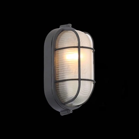 Настенный светильник уличный ST Luce Vecchio SL075.411.01