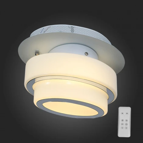 Настенно-потолочный светильник ST Luce Ovale SL546.501.01