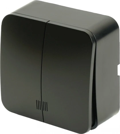 Выключатель двухклавишный с подсветкой (черный матовый) Stekker София 49477