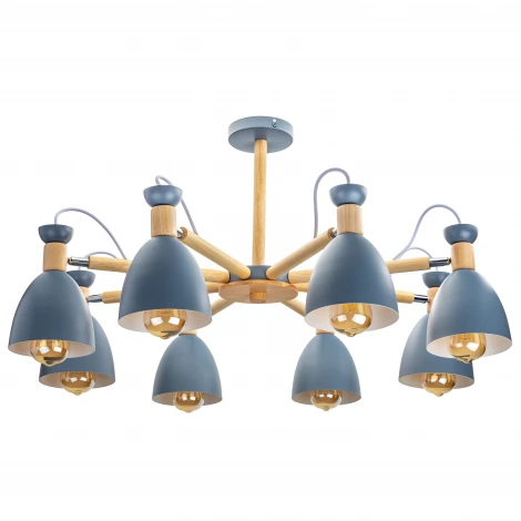 Потолочная люстра на штанге Ritter Volante 52598 1