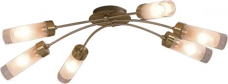 Потолочная люстра Citilux Ovale CL102162