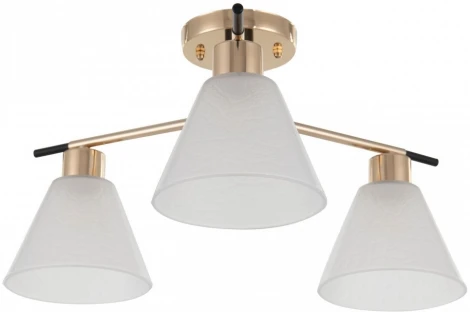 Потолочная люстра на штанге Arte Milano Napoli 322119/3 FG+BK (220V)