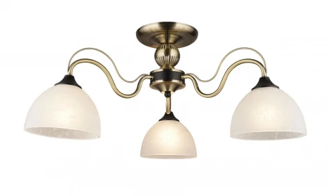 Потолочная люстра на штанге Мелодия Света SL1N 000054502