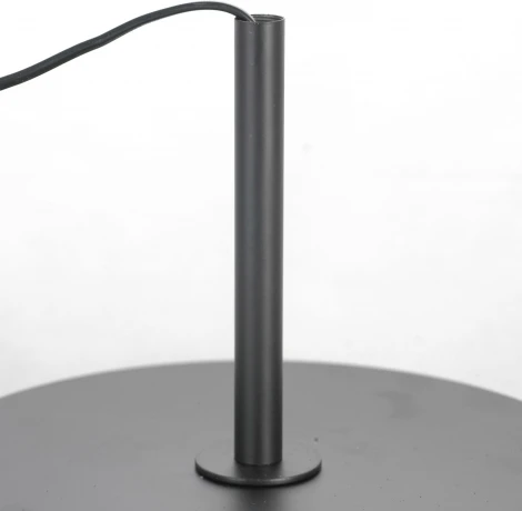 Торшер Lussole LSP-0590 (220V, IP21)