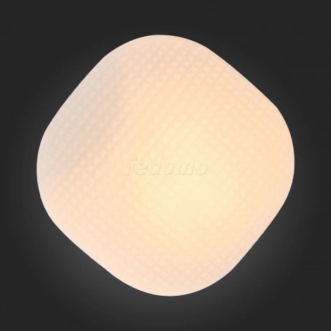Настенно-потолочный светильник ST Luce Pone SL504.552.01