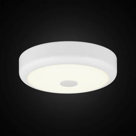 Настенно-потолочный светильник Citilux Фостер-1 CL706120