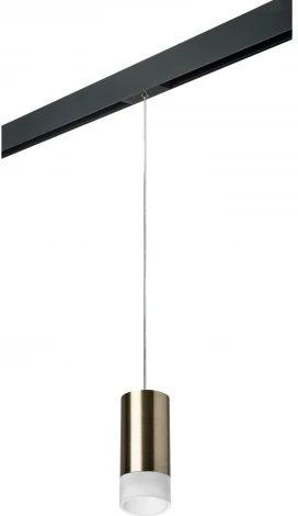 Трековый светильник однофазный 220V Lightstar Rullo PRORP43131 (круглые)