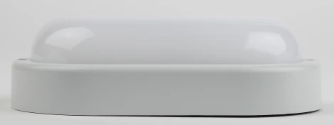 Настенно-потолочный светильник светодиодный ЭРА SPB-202-0-40K-008 (220V, IP65)