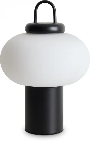 Настольная лампа Freya Take FR6175TL-L10B (LED, 220V, круглые)