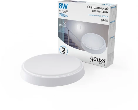 Настенно-потолочный светильник Gauss HALL 193411308 (LED, 220V, круглые, IP40)